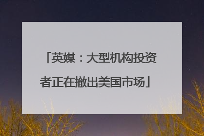 英媒：大型机构投资者正在撤出美国市场