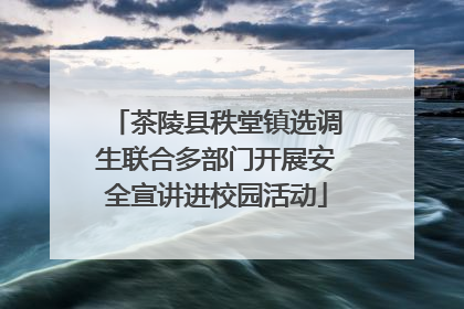 茶陵县秩堂镇选调生联合多部门开展安全宣讲进校园活动