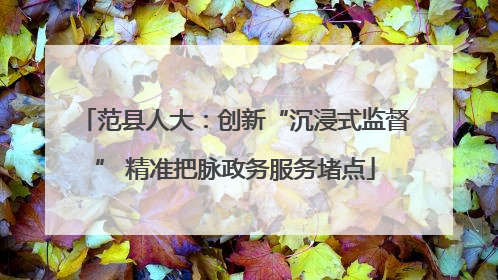 范县人大：创新“沉浸式监督” 精准把脉政务服务堵点