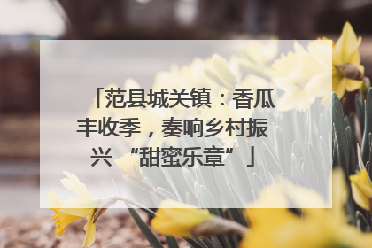 范县城关镇：香瓜丰收季，奏响乡村振兴 “甜蜜乐章”