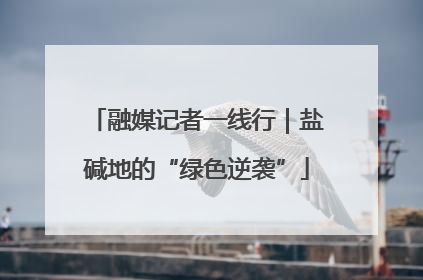 融媒记者一线行｜盐碱地的“绿色逆袭”