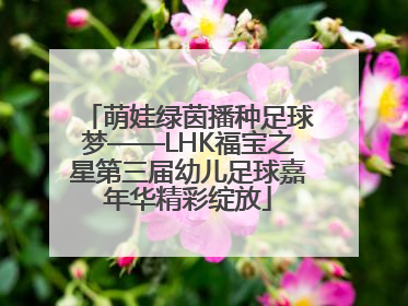 萌娃绿茵播种足球梦——LHK福宝之星第三届幼儿足球嘉年华精彩绽放
