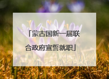 蒙古国新一届联合政府宣誓就职