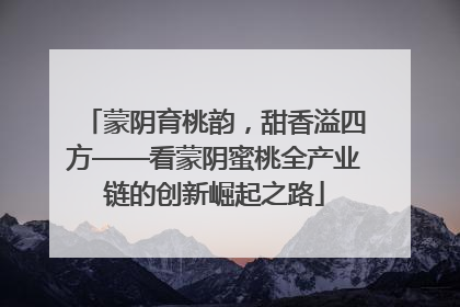 蒙阴育桃韵，甜香溢四方——看蒙阴蜜桃全产业链的创新崛起之路