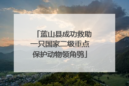 蓝山县成功救助一只国家二级重点保护动物领角鸮