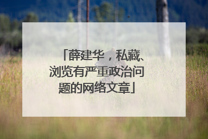 薛建华，私藏、浏览有严重政治问题的网络文章