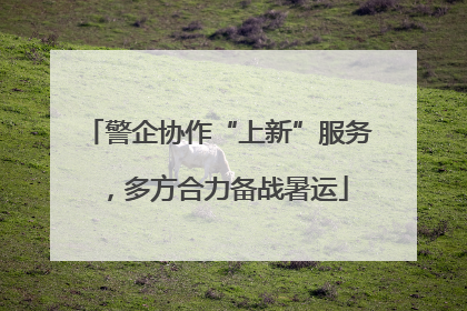 警企协作“上新”服务，多方合力备战暑运