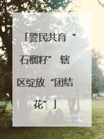 警民共育“石榴籽” 辖区绽放“团结花”