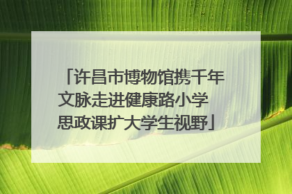 许昌市博物馆携千年文脉走进健康路小学 思政课扩大学生视野