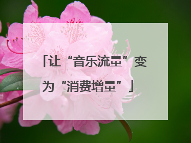 让“音乐流量”变为“消费增量”