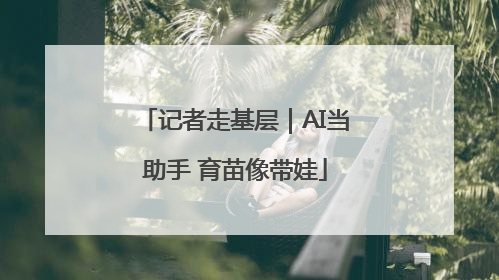 记者走基层｜AI当助手 育苗像带娃