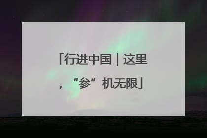 行进中国｜这里，“参”机无限