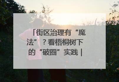 街区治理有“魔法”？看梧桐树下的“破圈”实践｜我在街区当书记