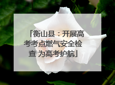 衡山县：开展高考考点燃气安全检查 为高考护航
