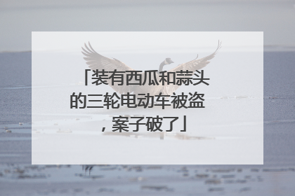 装有西瓜和蒜头的三轮电动车被盗，案子破了
