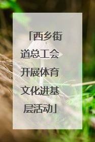 西乡街道总工会开展体育文化进基层活动