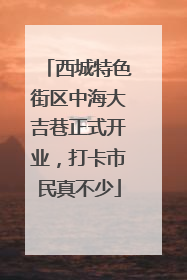 西城特色街区中海大吉巷正式开业，打卡市民真不少
