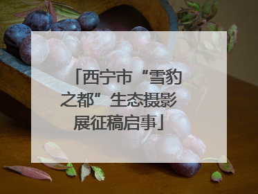西宁市“雪豹之都”生态摄影展征稿启事