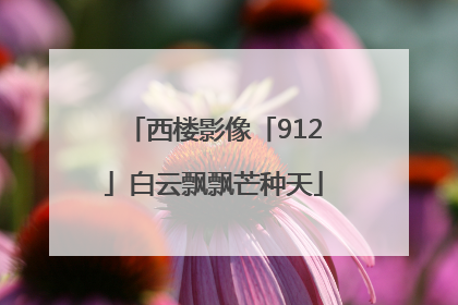 西楼影像「912」白云飘飘芒种天