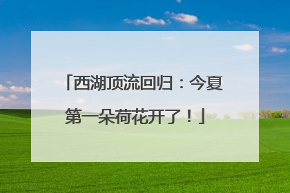 西湖顶流回归：今夏第一朵荷花开了！