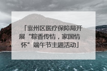 襄州区医疗保障局开展“粽香传情，家国情怀”端午节主题活动