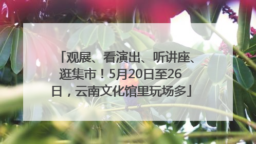 观展、看演出、听讲座、逛集市！5月20日至26日，云南文化馆里玩场多