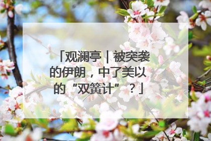 观澜亭｜被突袭的伊朗，中了美以的“双簧计”？