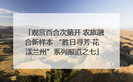 观赏百合次第开 农旅融合新样本 “胜日寻芳·花漾兰州”系列报道之七