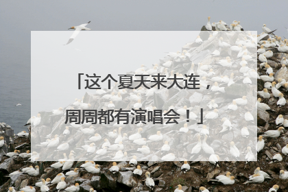 这个夏天来大连，周周都有演唱会！
