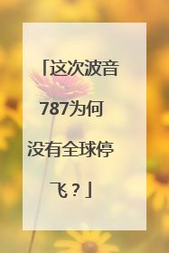 这次波音787为何没有全球停飞？