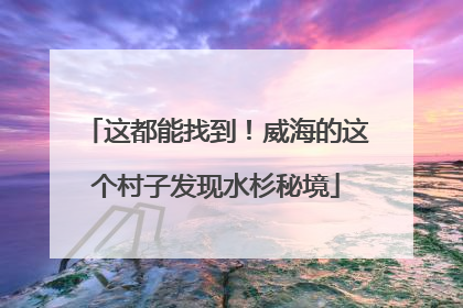 这都能找到！威海的这个村子发现水杉秘境