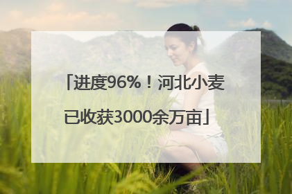 进度96%！河北小麦已收获3000余万亩