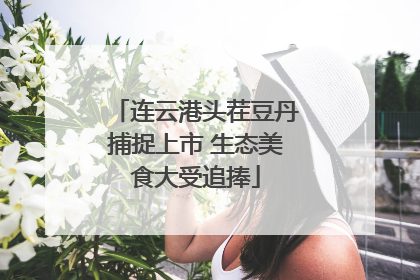 连云港头茬豆丹捕捉上市 生态美食大受追捧