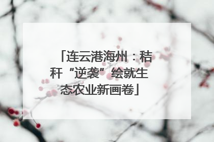 连云港海州：秸秆“逆袭”绘就生态农业新画卷