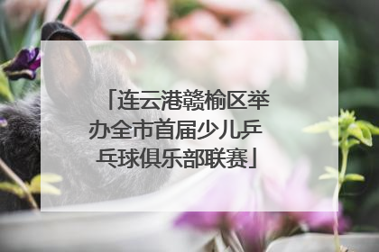 连云港赣榆区举办全市首届少儿乒乓球俱乐部联赛