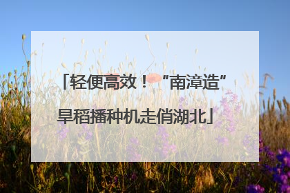 轻便高效！“南漳造”旱稻播种机走俏湖北