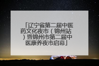 辽宁省第二届中医药文化夜市（锦州站）暨锦州市第二届中医康养夜市启幕