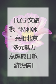辽宁文旅携“特种冰”亮相北京 多元魅力点燃夏日旅游热情