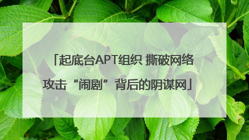 起底台APT组织 撕破网络攻击“闹剧”背后的阴谋网