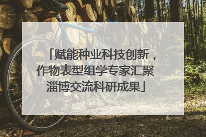 赋能种业科技创新，作物表型组学专家汇聚淄博交流科研成果