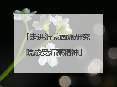 走进沂蒙画派研究院感受沂蒙精神