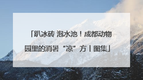 趴冰砖 泡水池！成都动物园里的消暑“凉”方丨图集