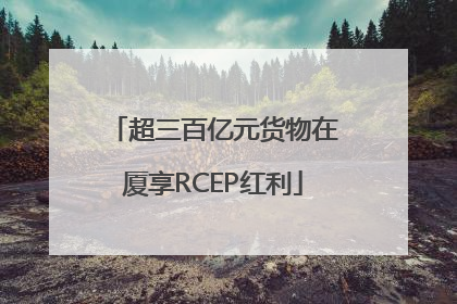 超三百亿元货物在厦享RCEP红利