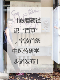 跟着药径识“百草”，宁波首条中医药研学步道发布