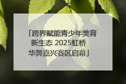 跨界赋能青少年美育新生态 2025虹桥华舞嘉兴赛区启幕