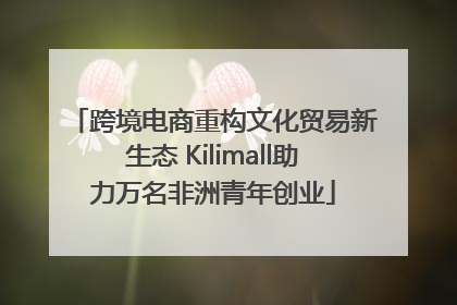 跨境电商重构文化贸易新生态 Kilimall助力万名非洲青年创业
