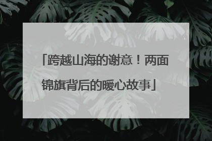 跨越山海的谢意！两面锦旗背后的暖心故事