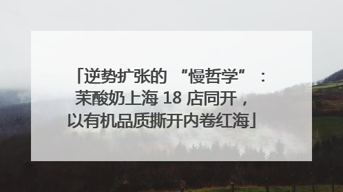 逆势扩张的 “慢哲学”：茉酸奶上海 18 店同开，以有机品质撕开内卷红海