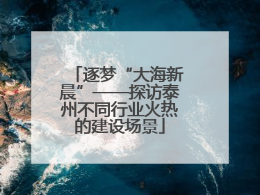 逐梦“大海新晨”——探访泰州不同行业火热的建设场景