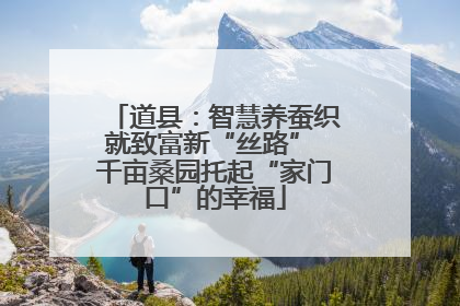 道县：智慧养蚕织就致富新“丝路” 千亩桑园托起“家门口”的幸福